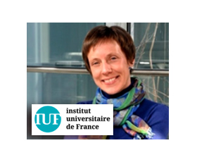 Sabine Szunerits, professeure à l’Université de Lille, est nommée membre Senior de l’Institut Universitaire de France à compter du 1er octobre 2022, pour une durée de 5 ans.